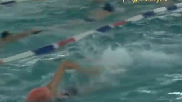 "МИМОХОДОМ", 14 ноября 2013 год. Автор проекта О. Дзиов смотреть онлайн