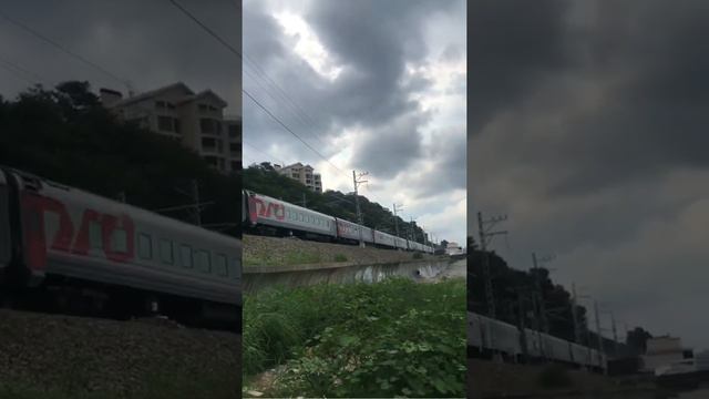 2ЭС4К-102 (Дончак) с пассажирским поездом Астрахань — Имеретинский курорт смотреть онлайн