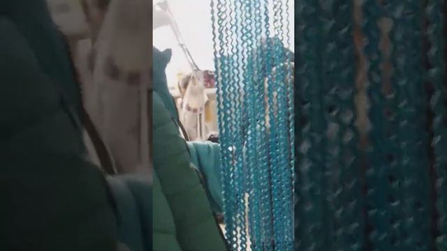Сегодня Ира и Ина идут калоть ушки смотреть онлайн