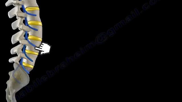 Neurological Evaluation Of The Lumbar Nerve Roots - Everything You Need To Know - Dr. Nabil Ebrahei смотреть онлайн