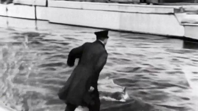 Снова Luma и снова шедевр смотреть онлайн