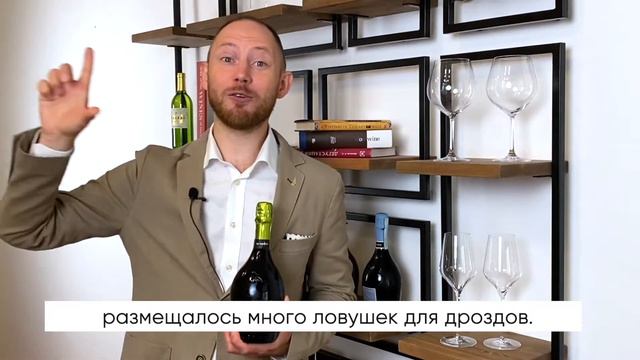 Brunei Brut, Prosecco Superiore Valdobbiadene DOCG, La Tordera смотреть онлайн