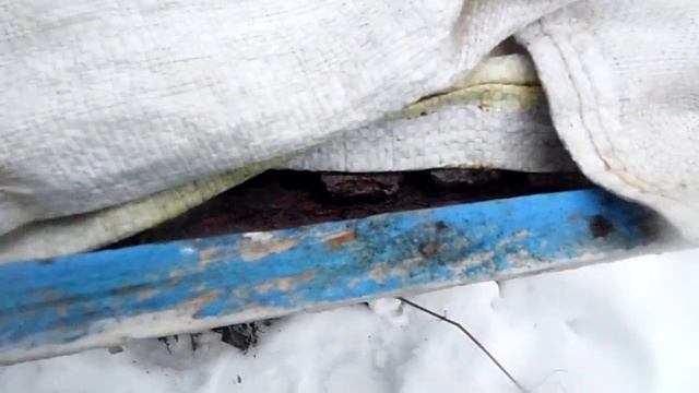 Пчелы. 20 декабря 2023 года. Зимовка пчел без приукраса... смотреть онлайн