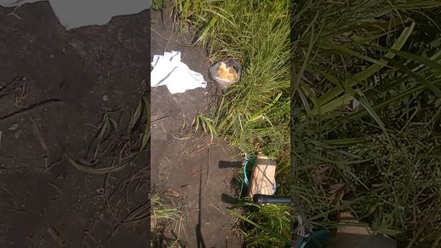 наглый змей смотреть онлайн