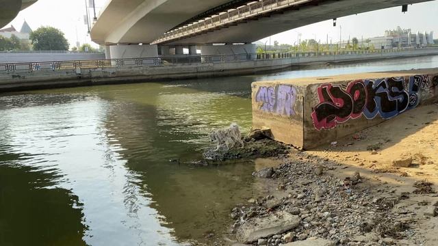 Мой акита любит плавать смотреть онлайн