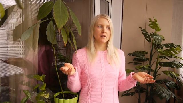 Соль на сыроедении смотреть онлайн