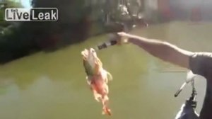 10 САМЫХ ОПАСНЫХ ЖИВОТНЫХ В МИРЕ