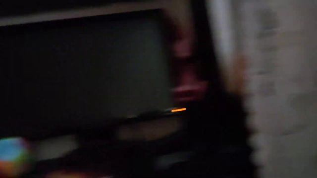 птица стучит в окно смотреть онлайн