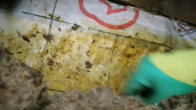 Эзотерическое целительство болезни души