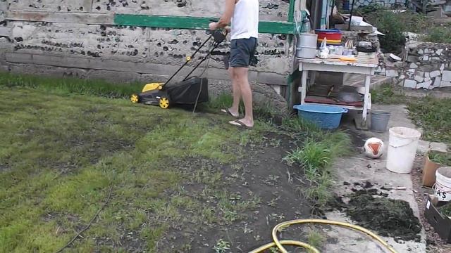 DSCF5212 ДЕН!!! и газонная трава...