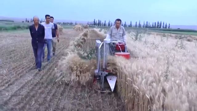 Маторчаи алафдарав смотреть онлайн