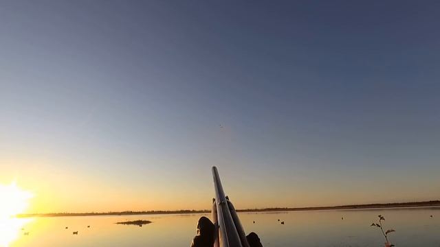 Охота на уток! Уток много! Отличные выстрелы! Август 2020! Duck Hunting of Yakutia! смотреть онлайн