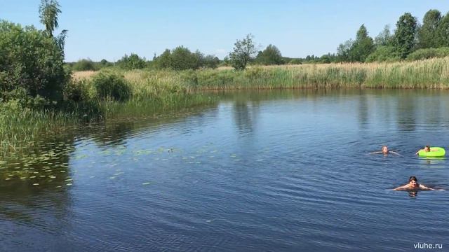 ЖАРА КАК В СОЧИ - Лухские видеозарисовки #48 – 19 июня 2021 г смотреть онлайн