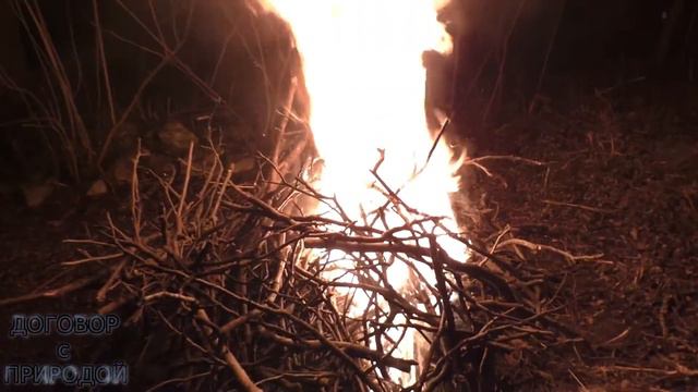 ВЕЧЕР у КОСТРА в месте где РОДИЛАСЬ моя ДУША.Январь 2020. смотреть онлайн