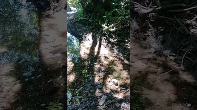 Пересохшее русло реки смотреть онлайн