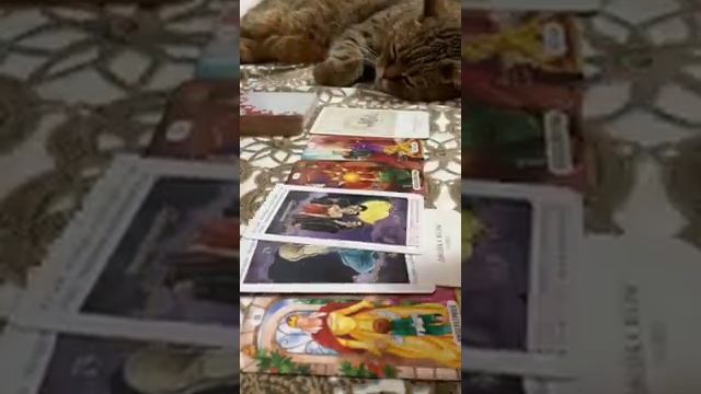 КТО МОЯ БЛИЗКАЯ ПОДРУГА ⁉️?? смотреть онлайн