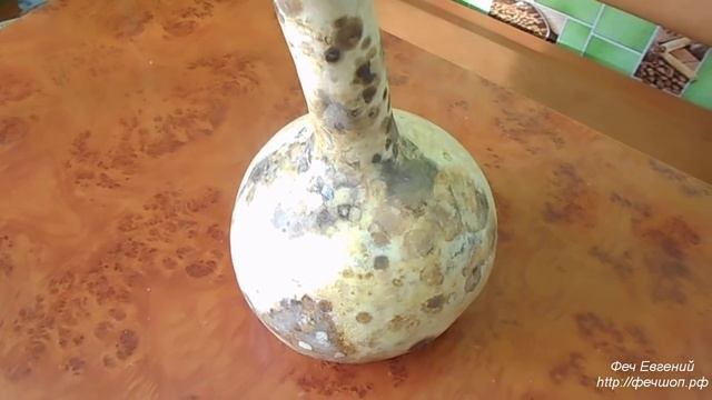 Семена лагенарии для прививки смотреть онлайн