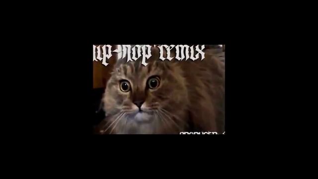 Кот поет со звездами смотреть онлайн