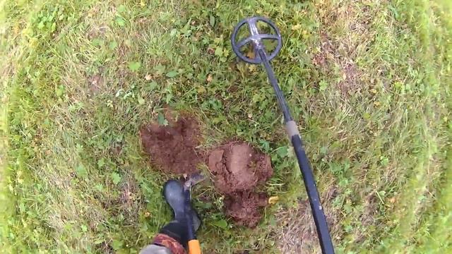 Приборный поиск монет, скошенное поле, злые пчелы , крестовик, и другие находки с XP Deus