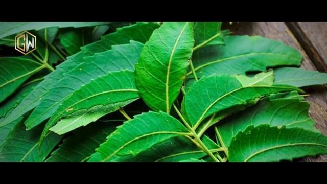 ?Ешьте эти 3 продукта, чтобы очистить толстую кишку | Советы по здоровью | Садхгуру смотреть онлайн