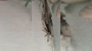 Монтаж кондиционера или как мы перебили ПРОВОДКУ!