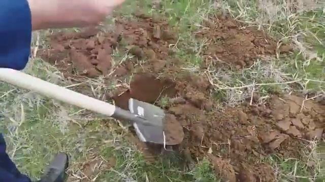 Первый коп с мд 4030 на 700 рублей . смотреть онлайн