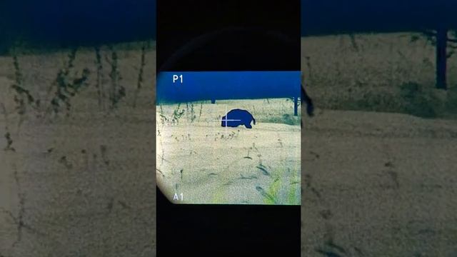 Fortuna general 50l3 смотреть онлайн