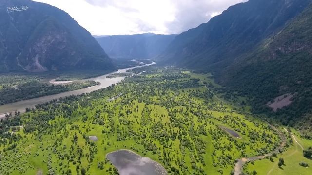 Tibetan Healing Sounds: Cleans the Aura and Space. Removes all negative energy смотреть онлайн