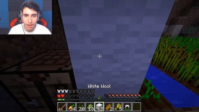 Minecraft but you can craft swords out of ANY BLOCK... смотреть онлайн