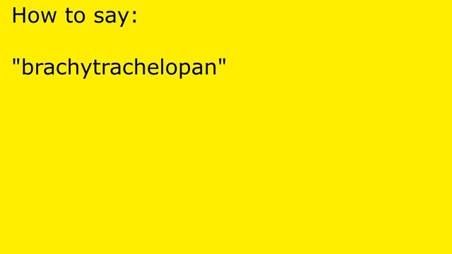 How to pronounce brachytrachelopan смотреть онлайн