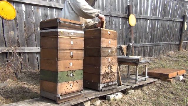 Весенняя ревизия.....замена дна и сокращение объёма улья смотреть онлайн