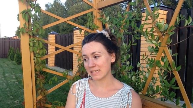 Деревянный дом — плюсы, минусы и сравнение с кирпичным и каменным домами смотреть онлайн