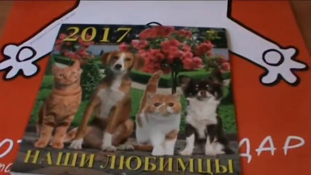 Посылка из Лабиринта #12 смотреть онлайн