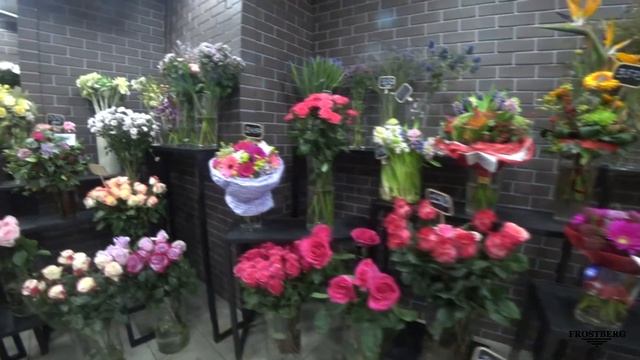 Холодильное оборудование для цветов FROSTBERG на Цветном бульваре смотреть онлайн