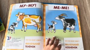 Школа семи гномов 1+ Обзор