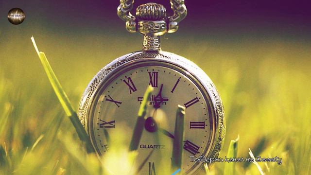 Новая религия смотреть онлайн