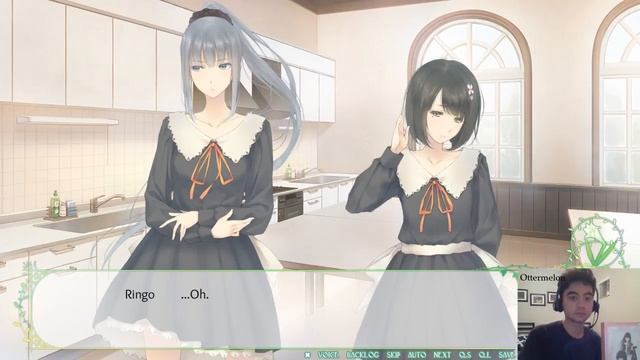 Flowers: Le volume sur printemps Playthrough - Chapter 5 (Countdown to Flowers: Le volume sur ete!) смотреть онлайн