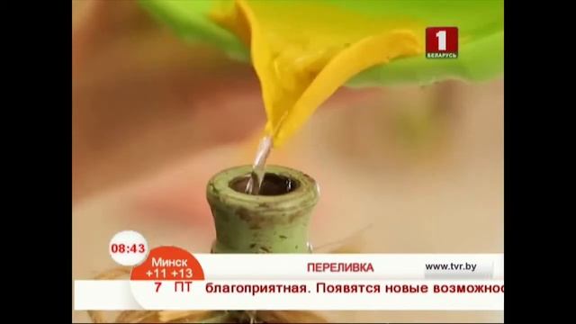 Переливаем жидкость из большой ёмкости в маленькую смотреть онлайн