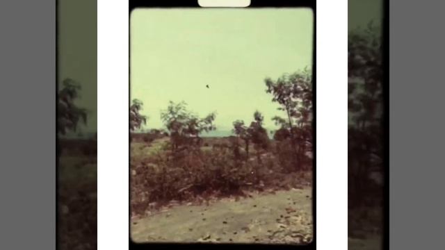 TRIP WITH CANONMATE NOVACAM 1 | PHOTOWALK DUAAN | 35mm | KODAK COLOUR PLUS | 8mm смотреть онлайн