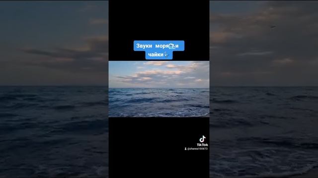 Шум моря?...Крики чаек? смотреть онлайн