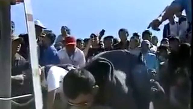 Ооо смотреть онлайн