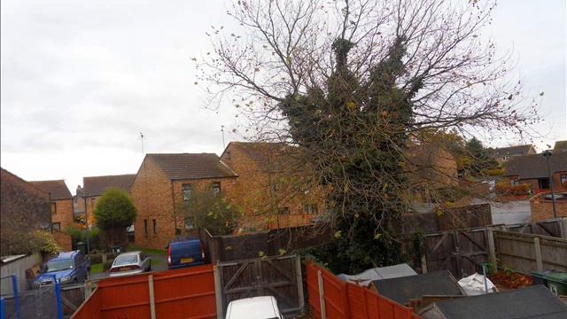 WB500 Camera Zoom Test - Picture смотреть онлайн