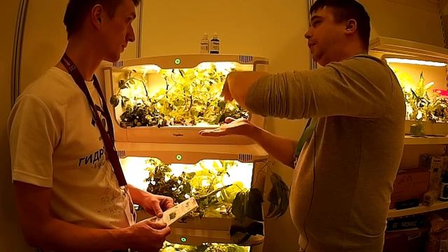 Установка для выращивания растений в домашних условиях смотреть онлайн