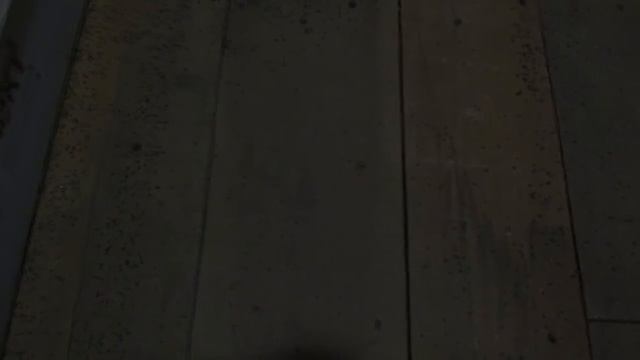 Бизнес. Разведение Дендробены. Как бороться с мошкой . смотреть онлайн