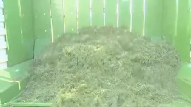 ZX смотреть онлайн