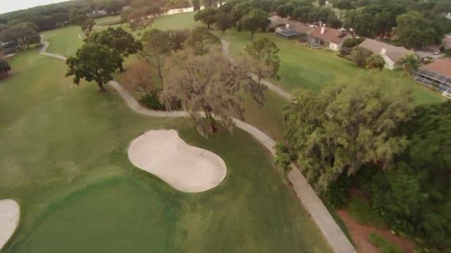 Sandhill Cranes in Flight 4K смотреть онлайн