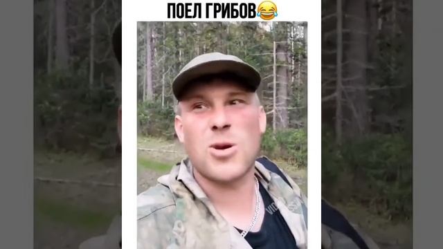 Поел Грибов? анекдот смотреть онлайн