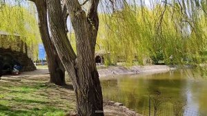 Поездка в Женский монастырь.