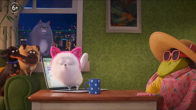 Домашняя жизнь домашних животных 2019 год с 30 мая смотреть онлайн