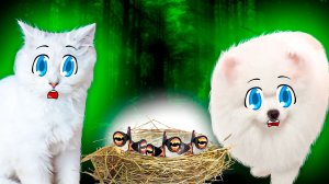 Собачка Шанелька СПАСЛА УМИРАЮЩИХ ПТЕНЦОВ! Но это оказались ДЕТЁНЫШИ СИРЕНОГОЛОВОГО!